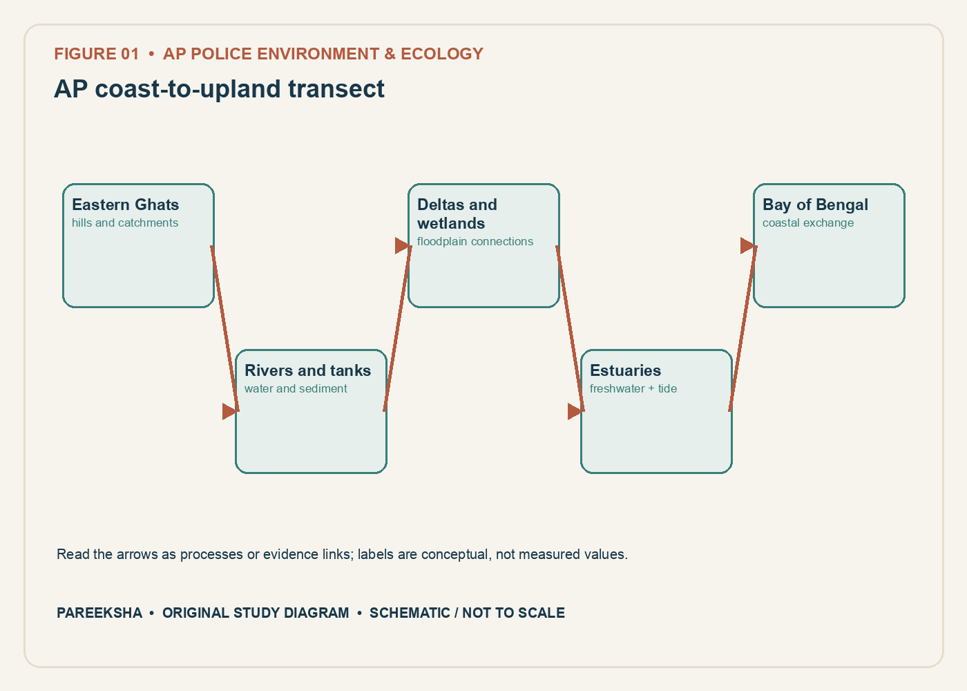 AP coast-to-upland transect. Original conceptual diagram, schematic and not to scale.