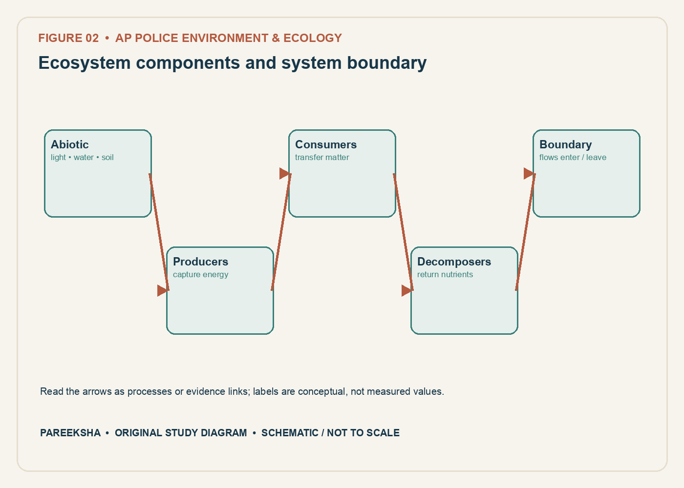 Ecosystem components and system boundary. Original conceptual diagram, schematic and not to scale.