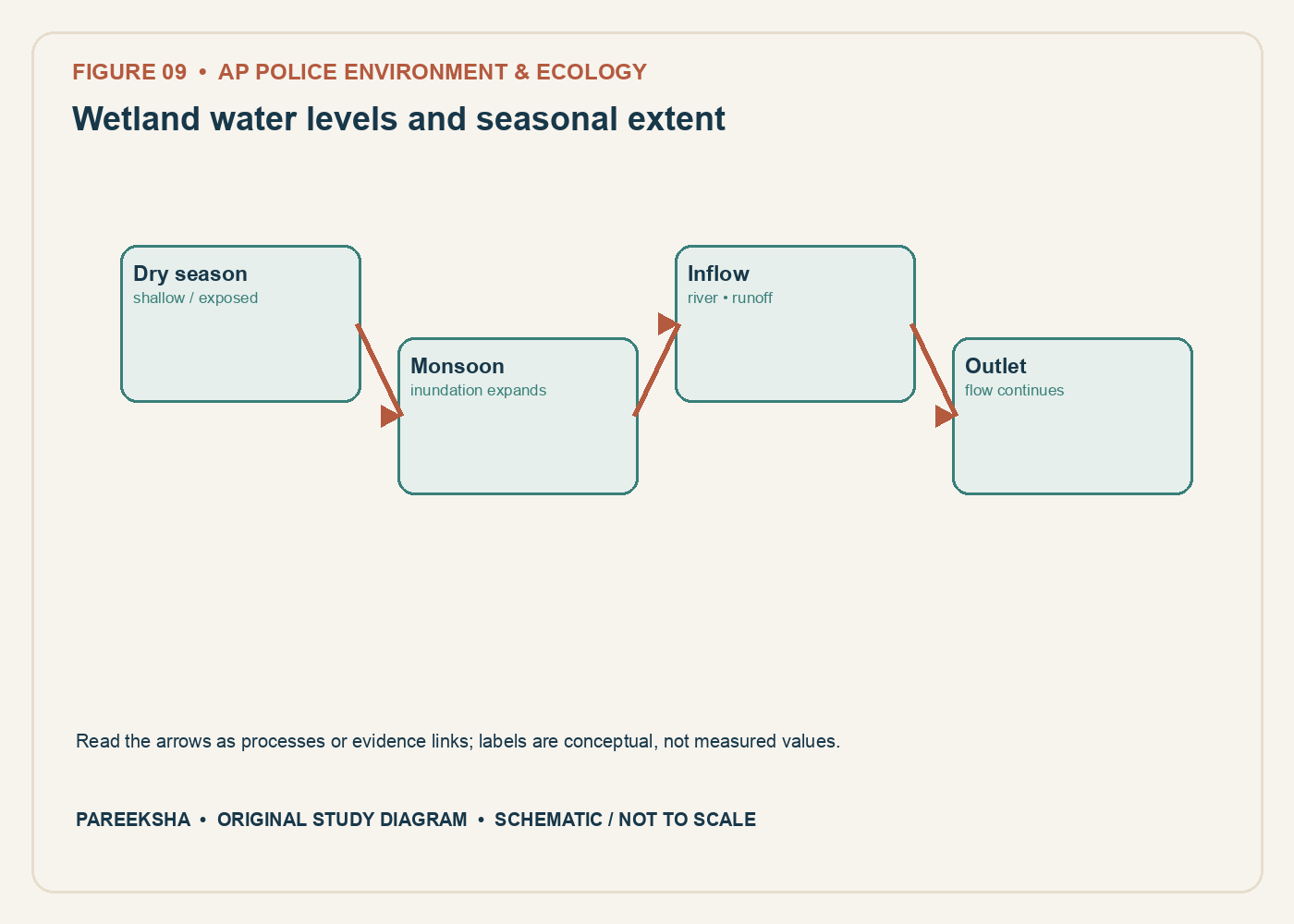 Wetland water levels and seasonal extent. Original conceptual diagram, schematic and not to scale.