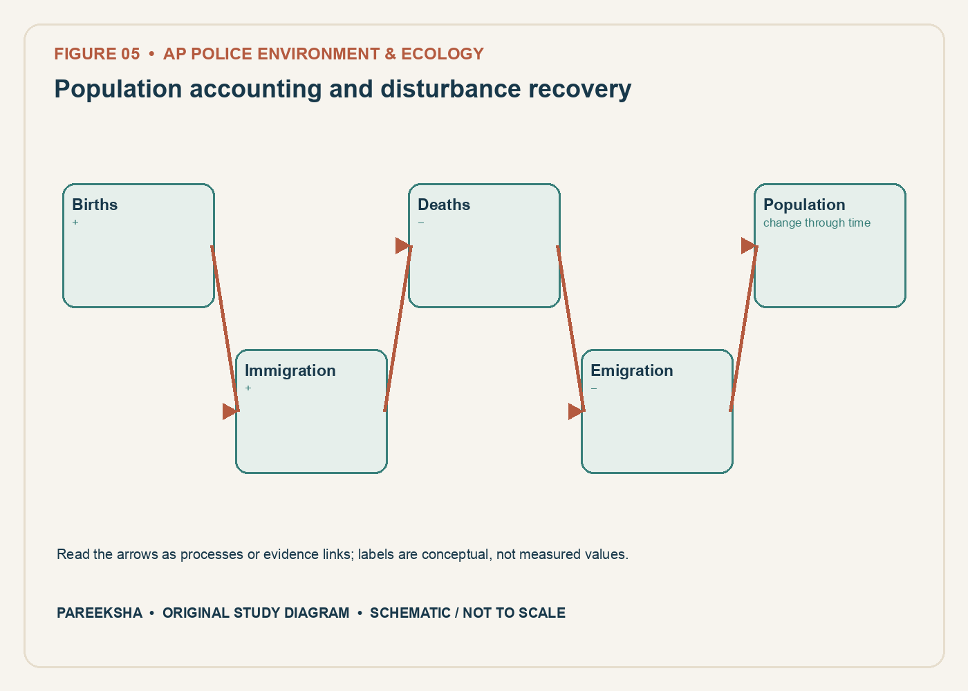 Population accounting and disturbance recovery. Original conceptual diagram, schematic and not to scale.
