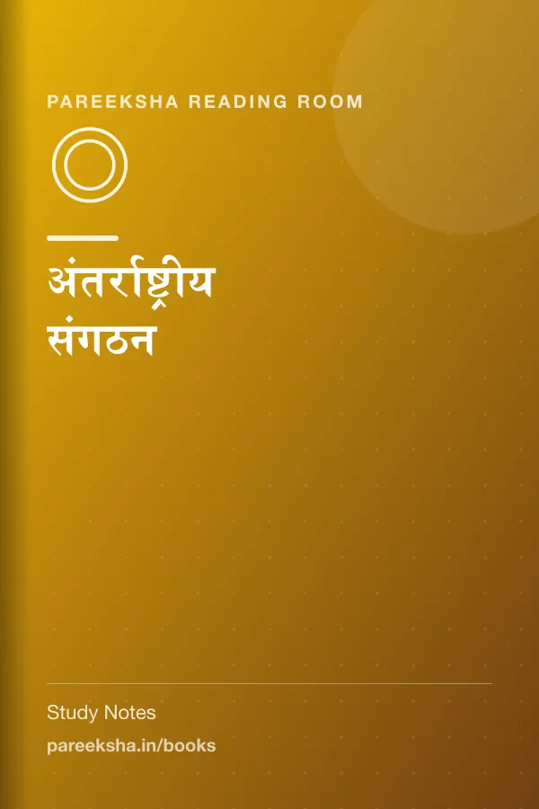 अंतर्राष्ट्रीय संगठन cover